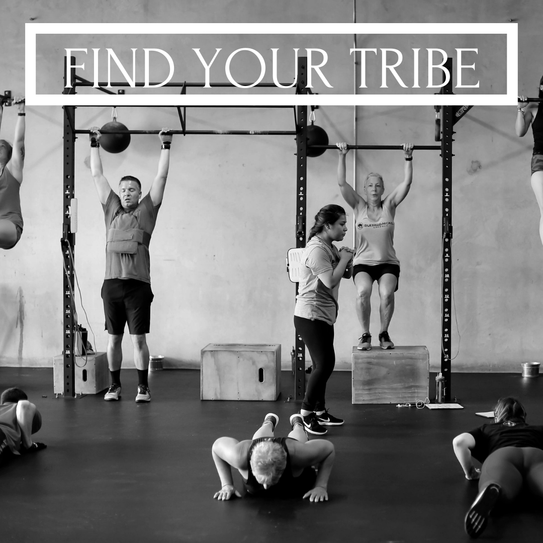 in a crossfit tribe gym with two people doing push ups while two people hang from bars and behind them is a big sign which reads find your tribe